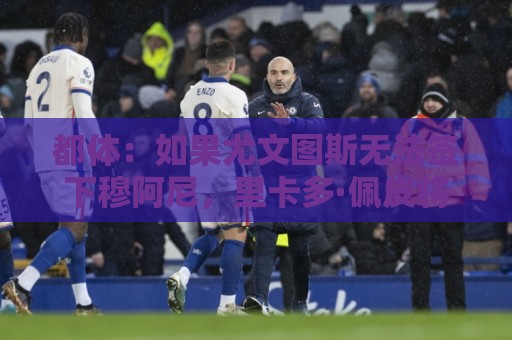 都体:如果尤文图斯无法签下穆阿尼,里卡多·佩皮将作为替代方案 都体:如果尤文图斯无法签下穆阿尼,里卡多·佩皮将作为替代方案