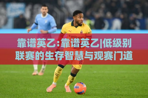 靠谱英乙:靠谱英乙|低级别联赛的生存智慧与观赛门道(靠谱英乙)🍢最大权威网页让球网官网无插件低调看冠军走盘单双盘