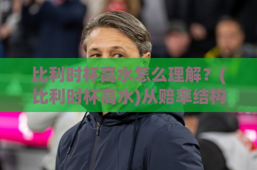 比利时杯高水怎么理解?(比利时杯高水)从赔率结构到临场变化的实战拆解【比利时杯高水】🍢今晚靠谱最火进球网技巧预选竞投论坛720P集锦 比利时杯高水怎么理解?(比利时杯高水)从赔率结构到临场变化的实战拆解【比利时杯高水】🍢今晚靠谱最火进球网技巧预选竞投论坛720P集锦