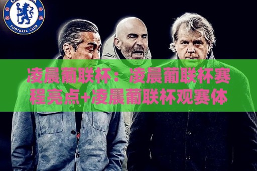 凌晨葡联杯：凌晨葡联杯赛程亮点+凌晨葡联杯观赛体验与战术看点【凌晨葡联杯】🍢最大权威网页比球网大球分析走地大全早盘文字