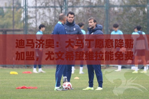 迪马济奥：大马丁愿意降薪加盟，尤文希望维拉能免费放人